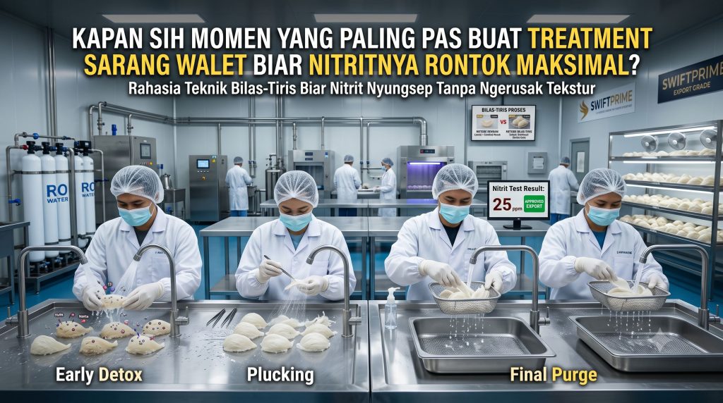 Salah Timing, sarang burung Walet Di-Reject! Ini Momen Pas Turunkan Nitrit - Jangan tunda lagi! Salah waktu treatment bikin nitrit walet melonjak dan rugi besar. Klik di sini sebelum kompetitor Anda tahu trik rahasia ekspor ini!