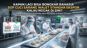 sarang burung walet