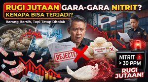 sarang burung walet