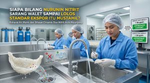 sarang burung walet