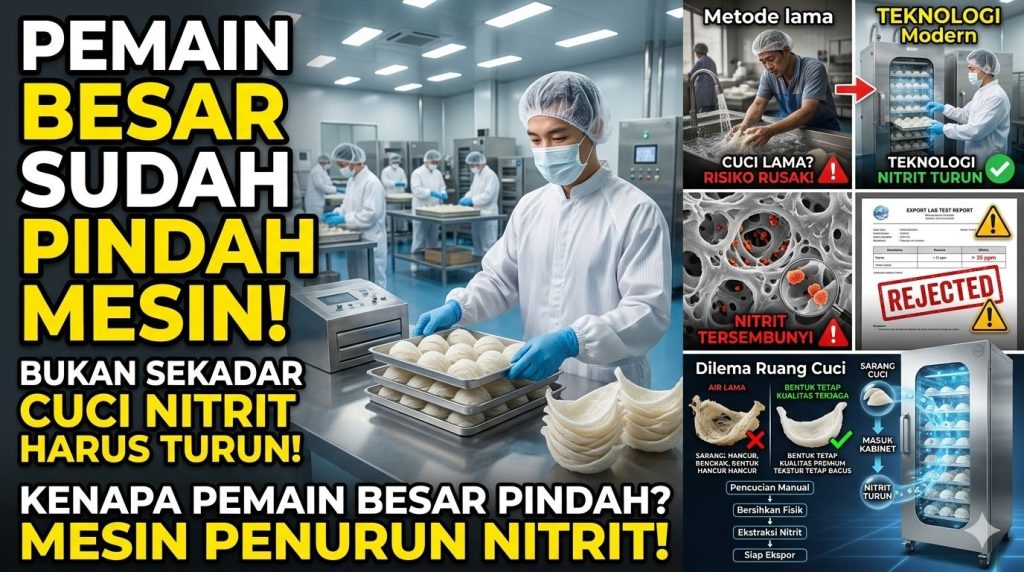 sarang burung walet